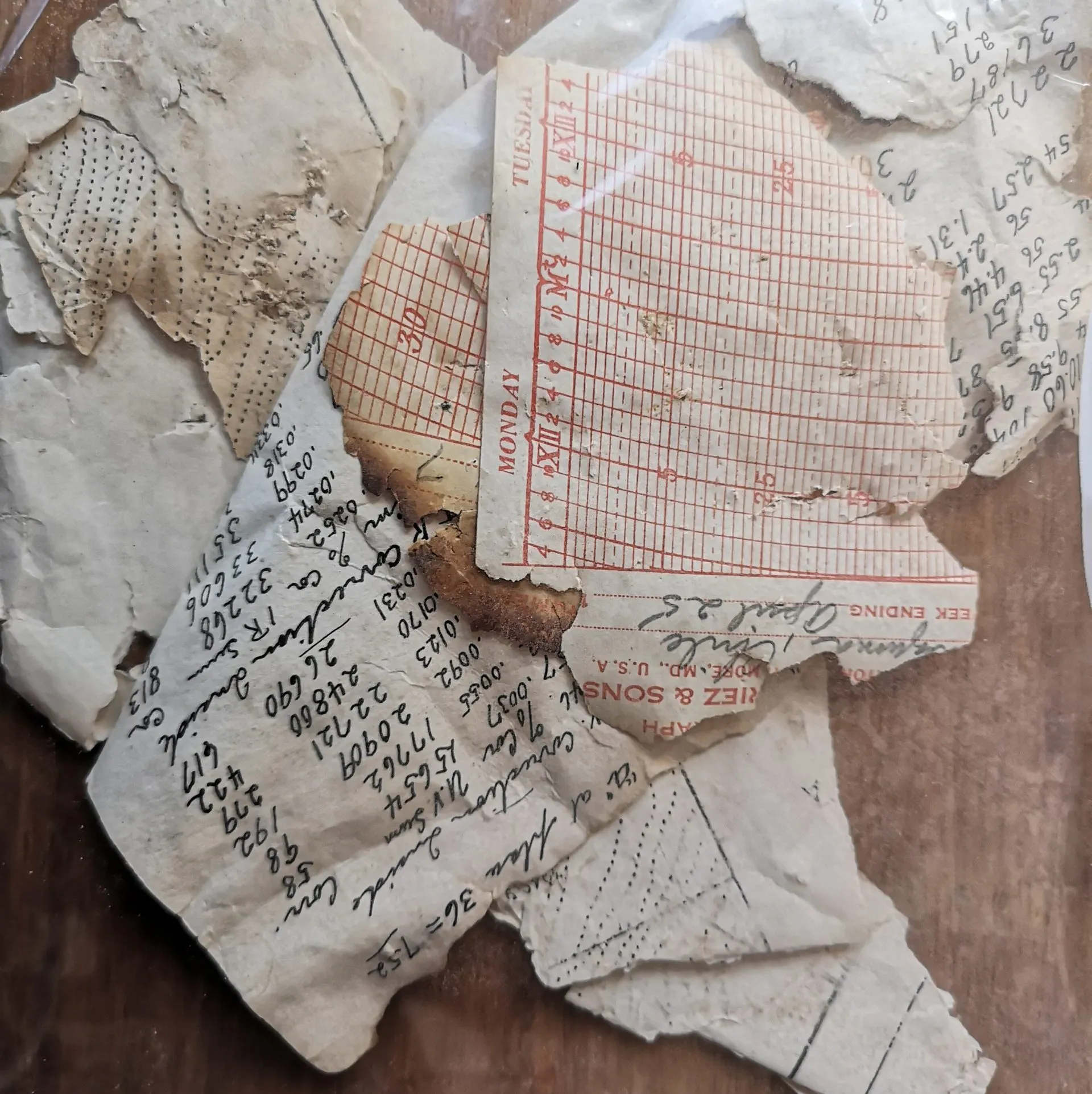 Documentos históricos de registros solares